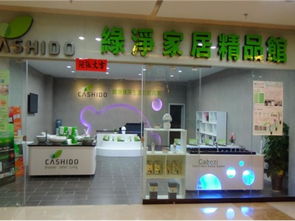 綠凈家居 一站式家居與家政服務(wù)解決方案