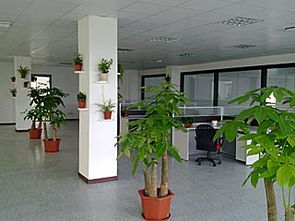 寧波商業空間裝修指南 辦公室、門面與店面施工要點解析